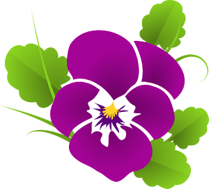 pansy-427139_1280.png