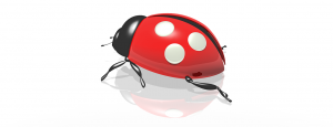 ladybug-1792157_1280.png